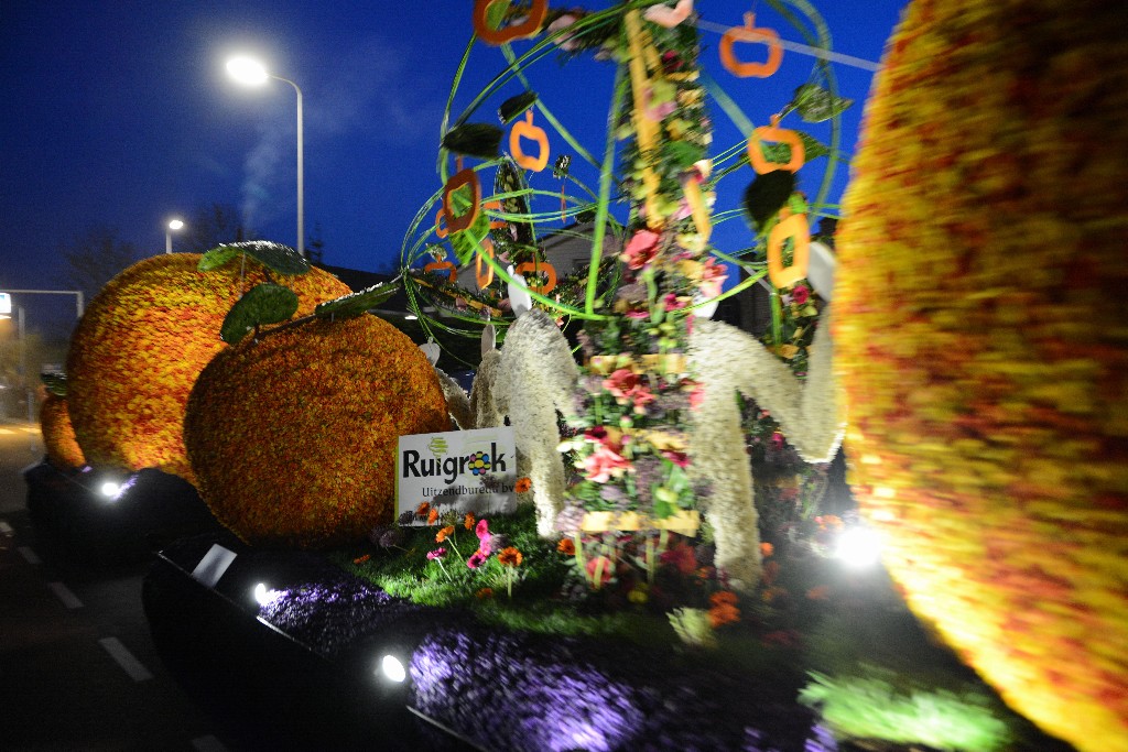 ../Images/Bloemencorso 2015 212.jpg